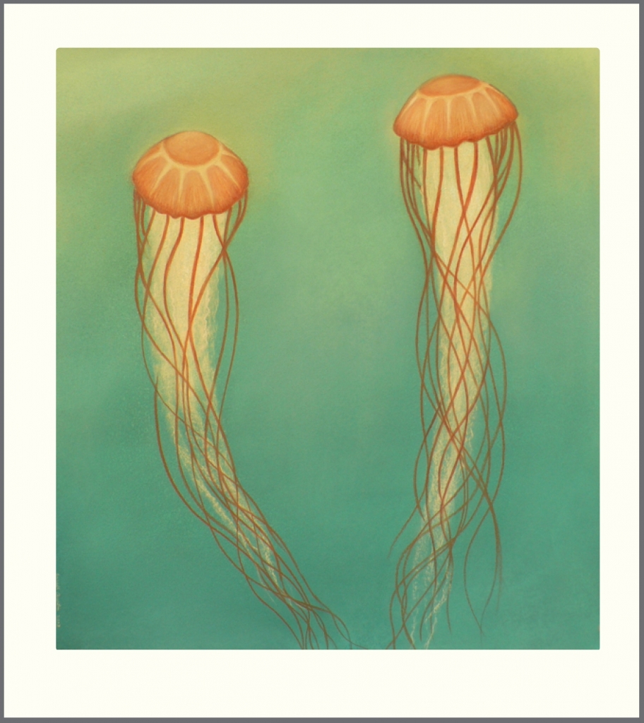 2-jellyfish-drawing1-912x1024