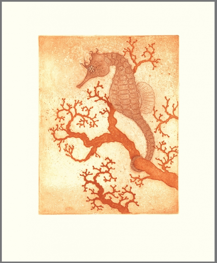 seahorse-and-coral1-847x1024