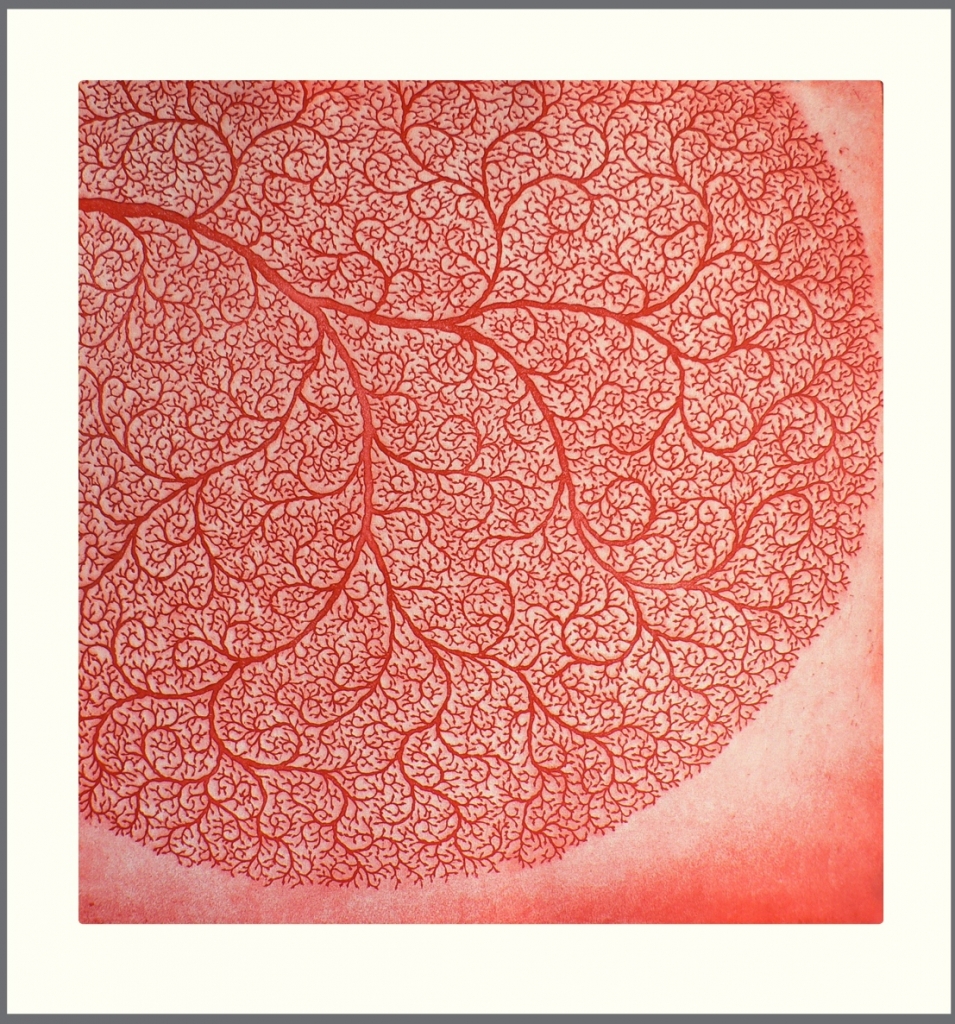 site-etching-lace-coral-955x1024