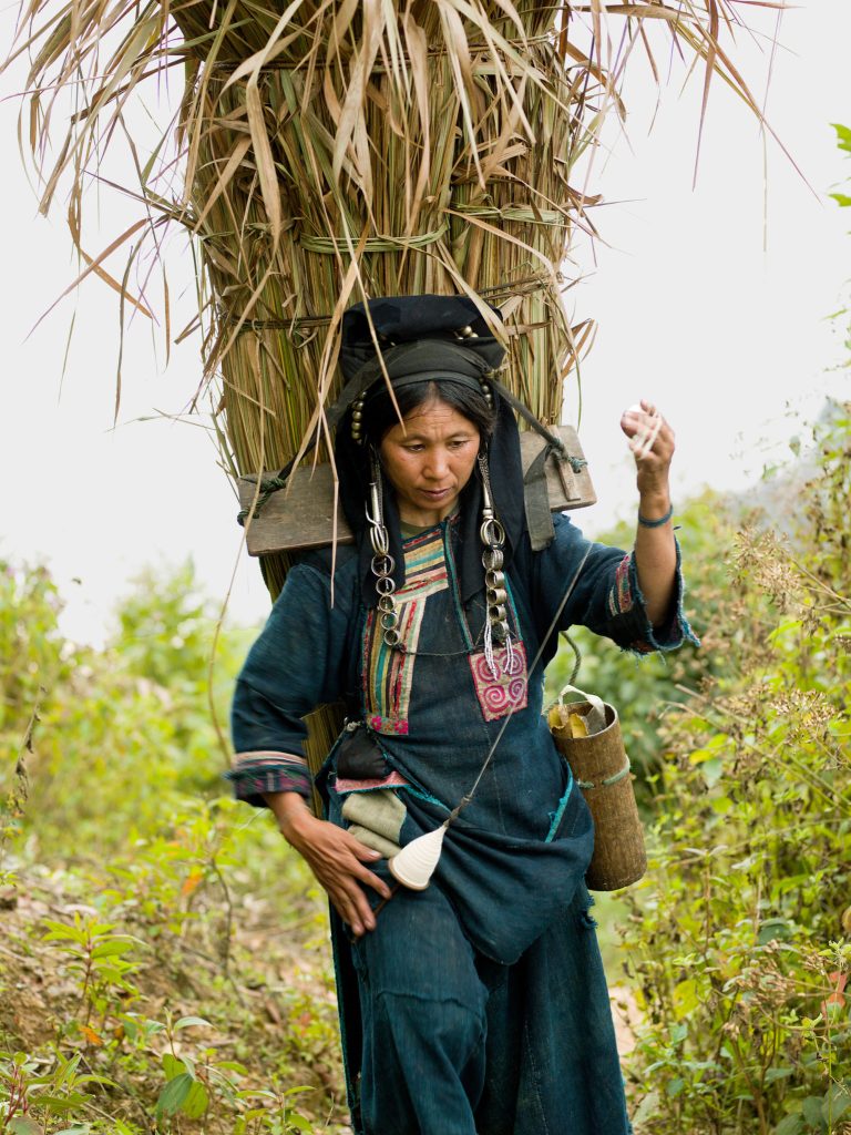 An Akha Nuquie ethnic minority woman, carrying grass in a bamboo basket for making a house roof, spins cotton whilst walking back to the village, Ban Chakhampa, Phongsaly province, Lao PDR. Akha women utilise every spare moment of the day to get something accomplished and can often be seen spinning cotton or embroidering a jacket everywhere from working on the farm to foraging in the forest.