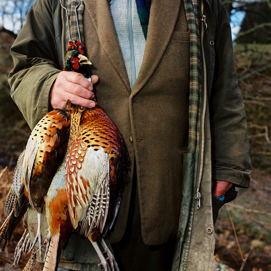 The bird man holding a brace of pheasants on a shoot at Swinton Estate, Nidderdale, North Yorkshire, UK